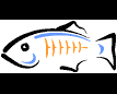 GlassFish logo